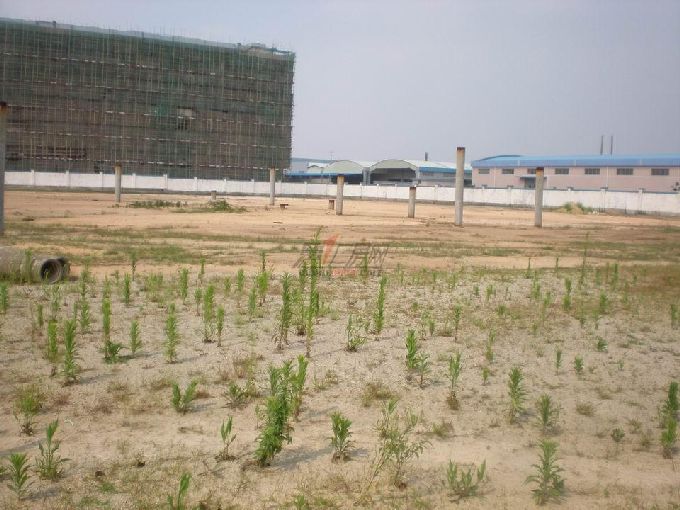 東莞大朗好地段16畝工業(yè)地皮出售