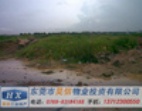 麻涌130 畝 土 地 出 售