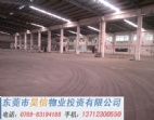 東莞大朗2500平方全新漂亮倉庫招租