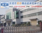 4600平方黃江廠房出租  地段價值優(yōu)越