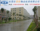 東莞石排14000廠房出租出售 有消防 電梯