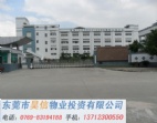 塘廈2.5萬平方東莞城市副中心深港后花園出售