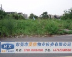 東莞鳳崗有33333平方米商住用地出售