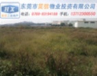 東莞南城區(qū)300畝商住用地出售