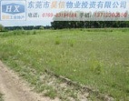 中堂鎮(zhèn)工業(yè)區(qū)75畝國(guó)土證地皮超低價(jià)出售
