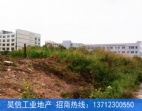 東莞寮步36畝工業(yè)地皮出售