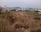 東莞地皮出售 黃江6萬平方米集體土地出讓