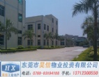 東莞鳳崗鎮(zhèn)金鳳凰5500平方米兩個獨立廠房出售