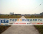 20畝國(guó)有證東莞土地出租信息一覽，道滘工業(yè)地皮出售，