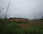 50畝東莞萬(wàn)江廠房土地出租-萬(wàn)江工業(yè)用地出售價(jià)格如您所愿