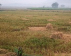100畝東莞市寮步鎮(zhèn)工業(yè)土地空地地皮出售