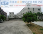 選擇東莞、橫瀝廠房出售/廠房買賣配套一應(yīng)俱全
