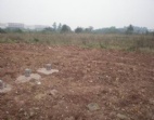 東莞茶山工業(yè)園內占地30畝工業(yè)用地/土地出售