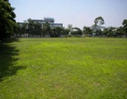 東莞萬(wàn)江鎮(zhèn)35畝工業(yè)地皮出售或工業(yè)用地訂建廠房