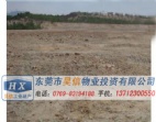 東莞石龍200畝工業(yè)土地出售/廠房土地招商