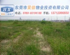東莞道滘鎮(zhèn)30畝工業(yè)地皮及工業(yè)用地出售