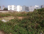 東莞茶山工業(yè)園30畝工業(yè)土地出售
