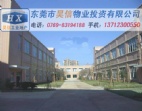 2萬方東莞大朗廠房出售