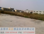 東莞橫瀝鎮(zhèn)大路邊16畝工業(yè)用地/地皮出售