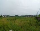 惠州石灣占地50000平方工業(yè)地皮出售
