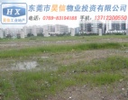 項目轉(zhuǎn)讓-83畝東莞橫瀝工業(yè)地皮出售