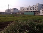 東莞大嶺山楊屋第四工業(yè)區(qū)41畝地皮出售