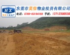 工業(yè)地皮出售 一望無際 東莞謝崗工業(yè)地皮轉(zhuǎn)讓