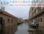 東莞石排廠房出售 國有證房產(chǎn)證 廠房轉(zhuǎn)讓