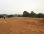 優(yōu)地優(yōu)價110畝地皮招商 望牛墩工業(yè)用地出售