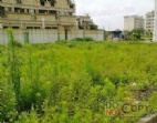 惠州市博羅縣楊村鎮(zhèn)國有證20060平方出售