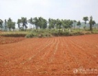 橫瀝鎮(zhèn)國(guó)有證地12畝出售