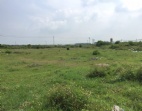 惠州土地出售/惠陽國有證化工用地10000平方轉(zhuǎn)讓/博羅土地轉(zhuǎn)讓