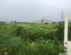 東莞市東城區(qū)59畝/160畝地皮出租