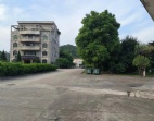 大朗鎮(zhèn)富民工業(yè)城27000平方國有證廠房出售